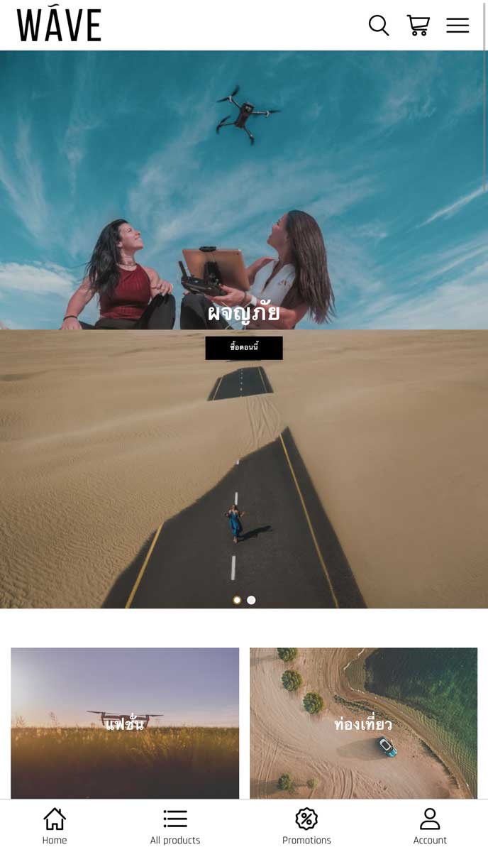 WAVE | EasyStore themes