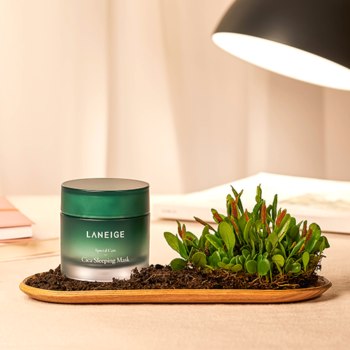 Laneige Mặt nạ ngủ Cica Sleeping Mask 60ml Laneige Mặt nạ ngủ Cica Sleeping Mask 60ml