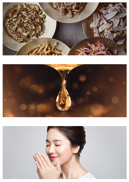 Sulwhasoo Tinh chất First Care Activating Serum EX 60ml Sulwhasoo Tinh chất First Care Activating Serum EX 60ml