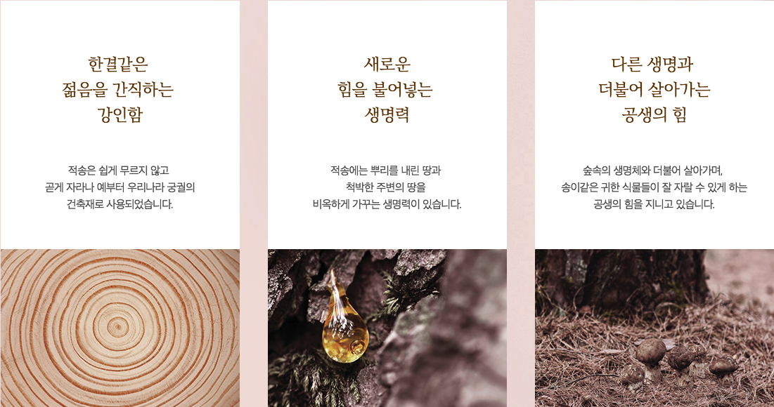 Sulwhasoo Kem chống lão hóa Thông Đỏ Timetreasure Invigorating Eye Cream 25ml Sulwhasoo Kem chống lão hóa Thông Đỏ Timetreasure Invigorating Eye Cream 25ml