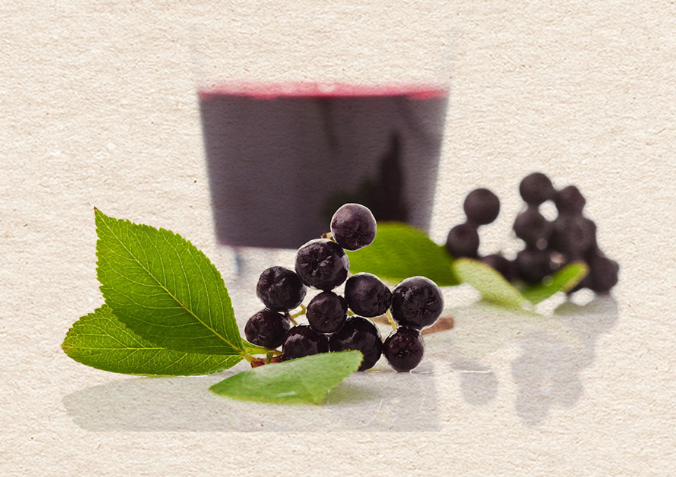 Woorigastory Bột Frozen & Dried Aronia Powder 250g Woorigastory Bột Frozen & Dried Aronia Powder 250g