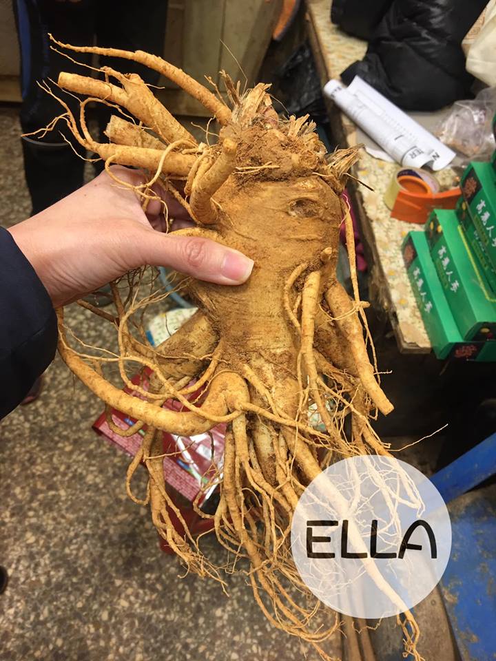 Gyeongdong Nhân sâm tươi Geumsan Korea Ginseng 1kg (04p) Gyeongdong Nhân sâm tươi Geumsan Korea Ginseng 1kg (04p)