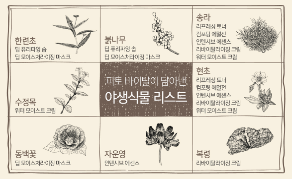 O Hui Phyto Vital Revitalizing Cream 55ml O Hui Phyto Vital Revitalizing Cream 55ml