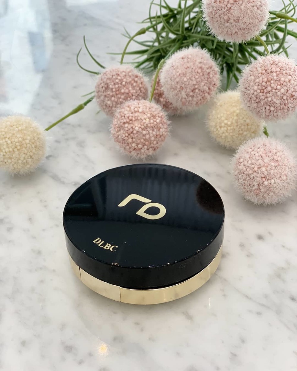 Renoderm Daylong BB Cushion 15g Renoderm Daylong BB Cushion 15g