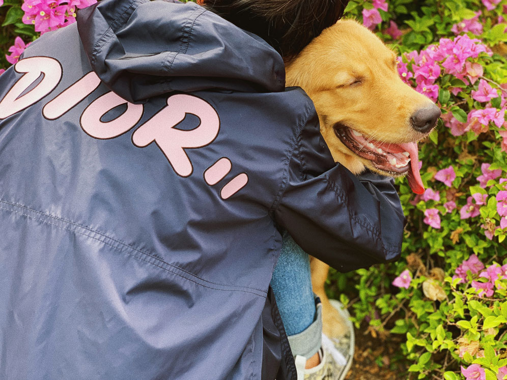 dior kaws denim jacket