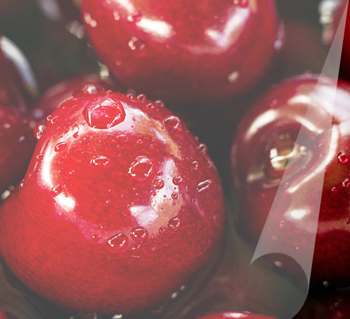 Matte lamination sheet printing material for brochures, flyers, and cards with smooth protective finish.