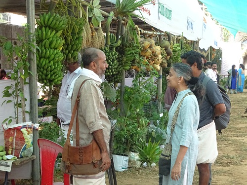 Six months after floods, Kerala’s farm sector makes a come back Six months after floods, Kerala’s farm sector makes a come back