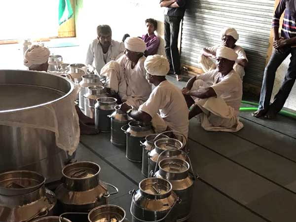 Adulteration mars India’s milk route march Adulteration mars India’s milk route march