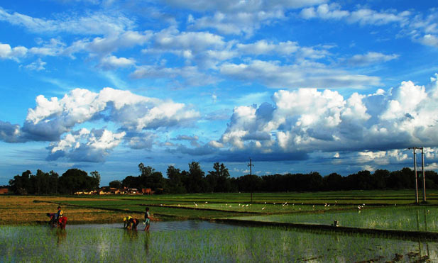 Bumper foodgrain production expected due to normal monsoon this year Bumper foodgrain production expected due to normal monsoon this year