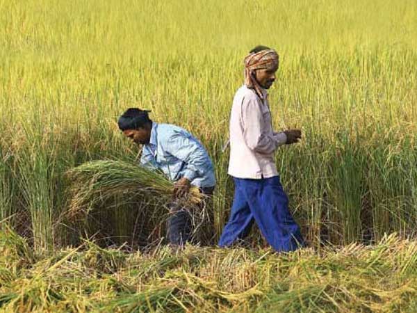 Jump in Rural Core Inflation Jump in Rural Core Inflation