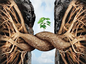 IOC-OIL merger plan to create behemoth gathers steam IOC-OIL merger plan to create behemoth gathers steam
