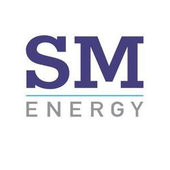SM company logo