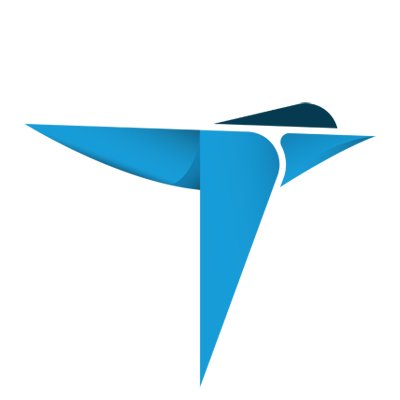 TERN company logo