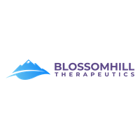 BLSM company logo