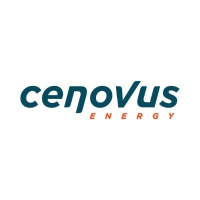 CVE logo