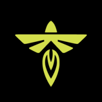 FLY company logo