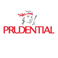 PUK company logo