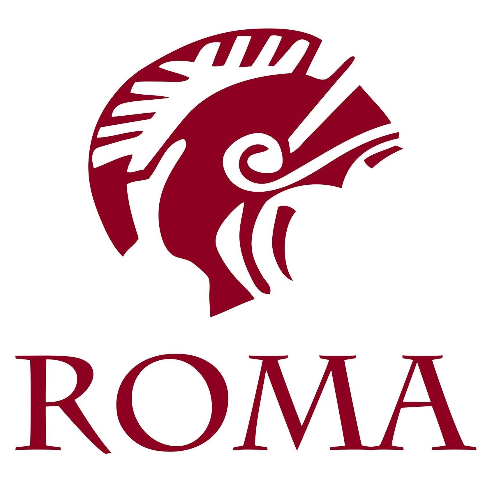 ROMA company logo