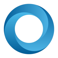 RZLV company logo