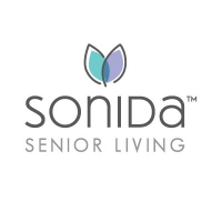 SNDA company logo