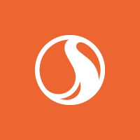 STN company logo