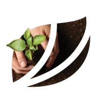 SUZ company logo