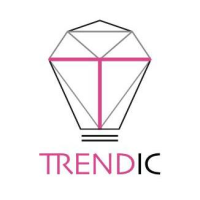 TDIC logo