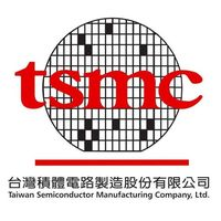 TSM company logo