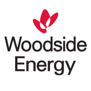 WDS company logo