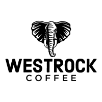 WEST company logo