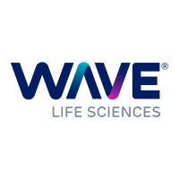 WVE company logo