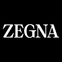 ZGN company logo
