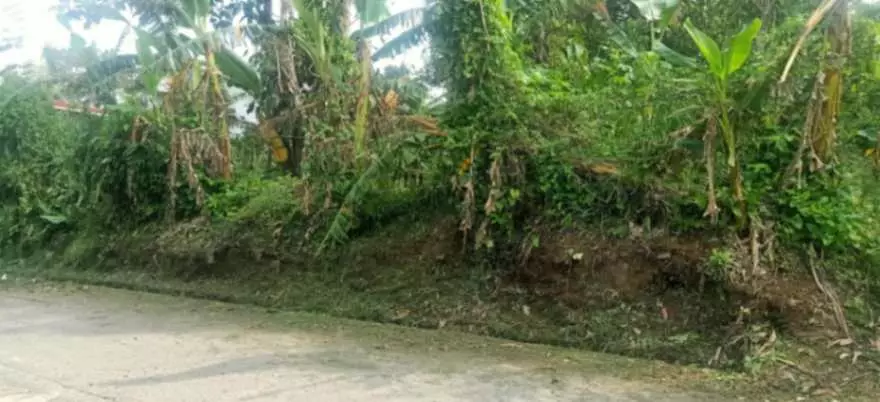 For Sale: 1,000sqm Lot in Buho Silang, Tagaytay Road – Near CALAX Exit - photo 3