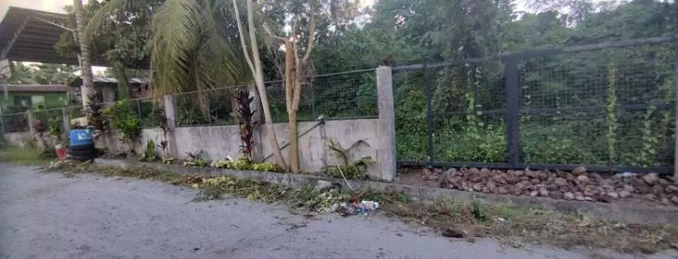 For Sale: 600 sqm Lot in Brgy. Pag Asa, Cannery Polomolok, South Cotabato – Ideal for Home Build - photo 4