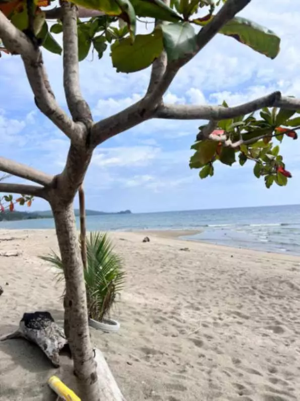 Beach Lot for Sale