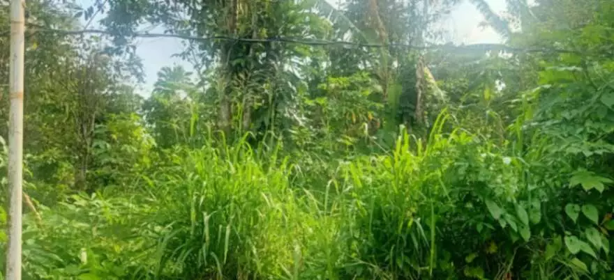 For Sale: 1,000sqm Lot in Buho Silang, Tagaytay Road – Near CALAX Exit - photo 7