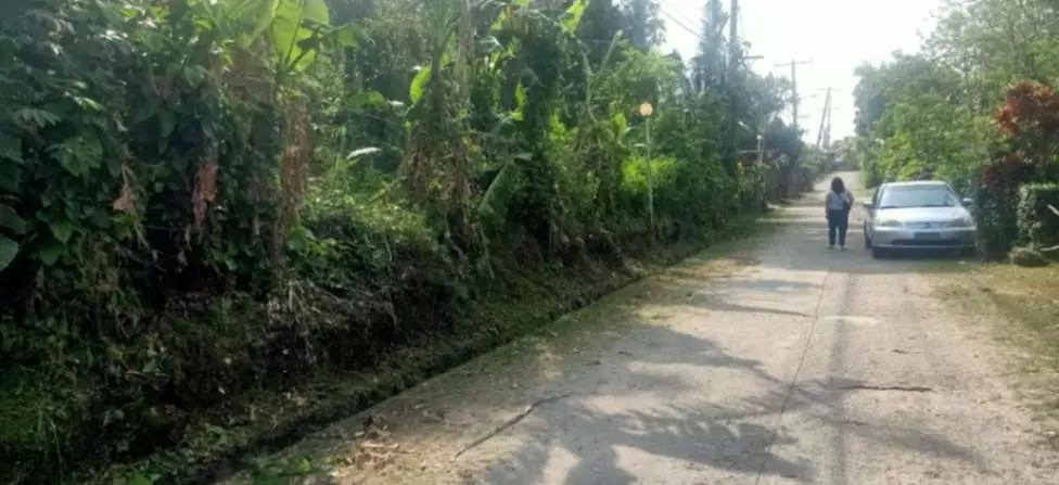 For Sale: 1,000sqm Lot in Buho Silang, Tagaytay Road – Near CALAX Exit - photo 2