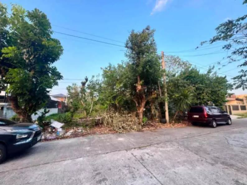 Lot For Sale - photo 4