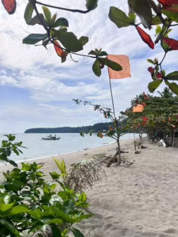 Beach Lot for Sale - photo 2