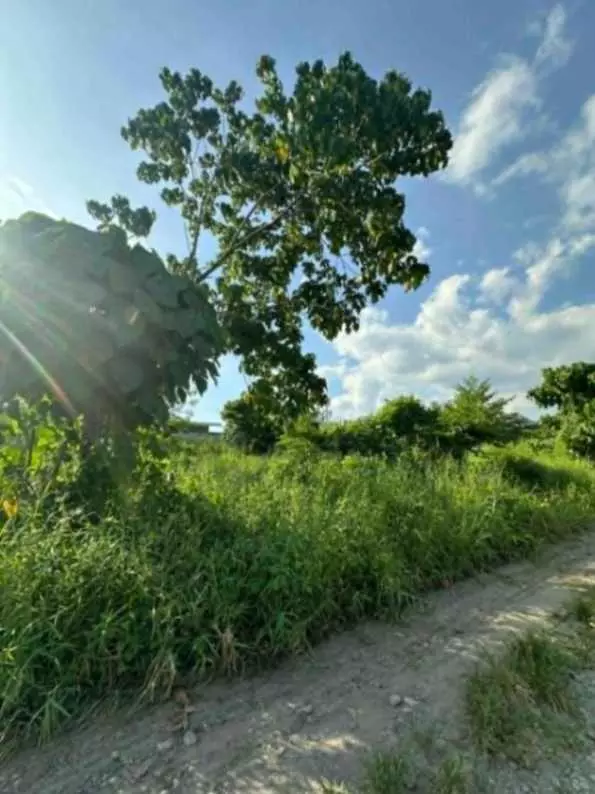 AFFORDABLE LOT FOR RENT - photo 3