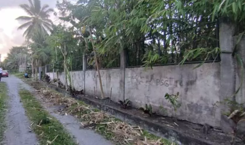 For Sale: 600 sqm Lot in Brgy. Pag Asa, Cannery Polomolok, South Cotabato – Ideal for Home Build - photo 2