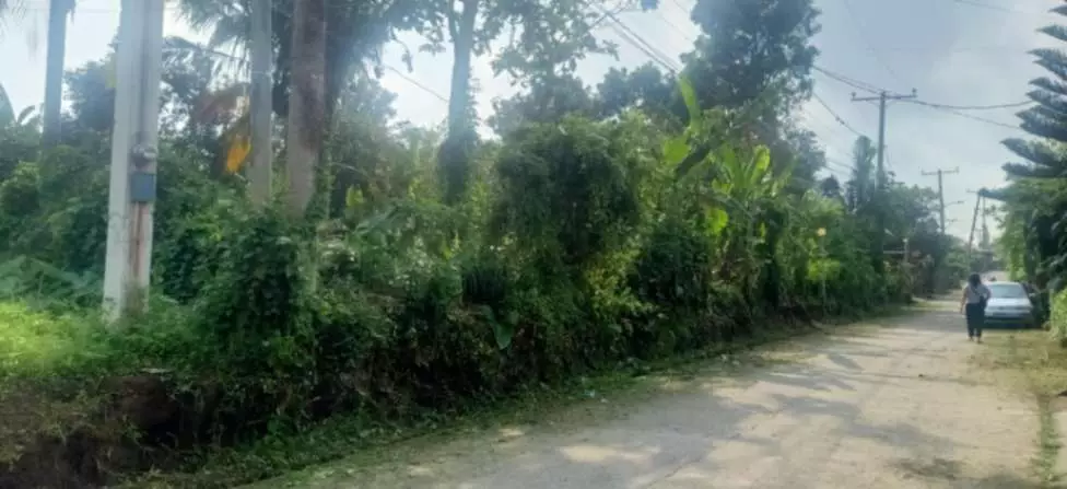 For Sale: 1,000sqm Lot in Buho Silang, Tagaytay Road – Near CALAX Exit - photo 4