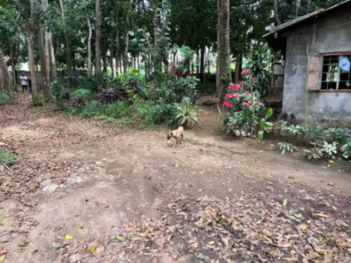 For Sale: 1,000 sqm Lot in Lalaan 1st, Silang Cavite – Near Acienda Mall - photo 3