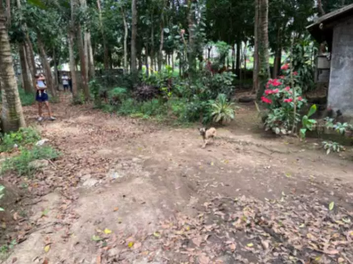For Sale: 1,000 sqm Lot in Lalaan 1st, Silang Cavite – Near Acienda Mall - photo 7