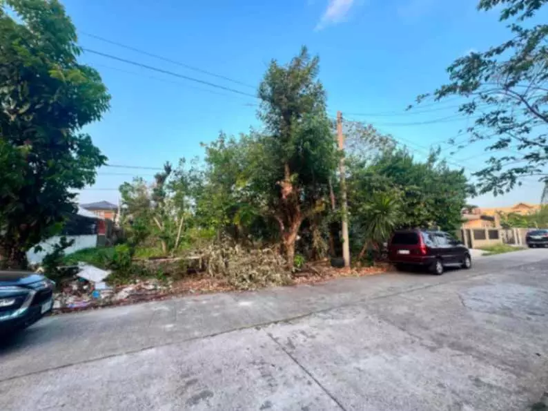 Lot For Sale - photo 5