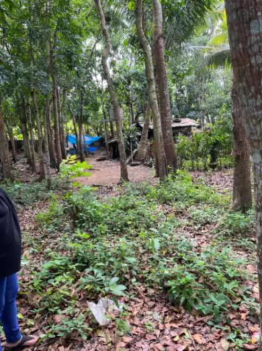 For Sale: 1,000 sqm Lot in Lalaan 1st, Silang Cavite – Near Acienda Mall - photo 4