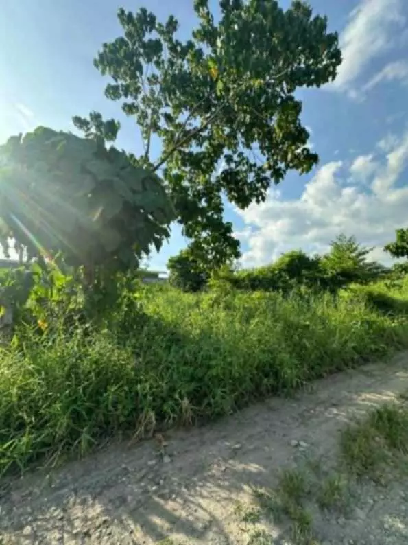 AFFORDABLE LOT FOR RENT - photo 4