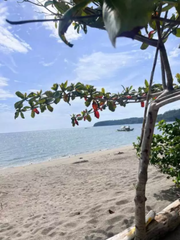Beach Lot for Sale - photo 6