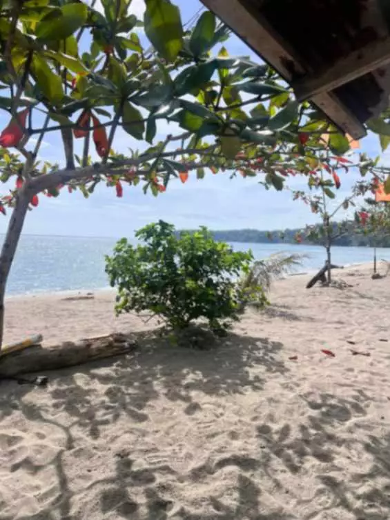 Beach Lot for Sale - photo 4