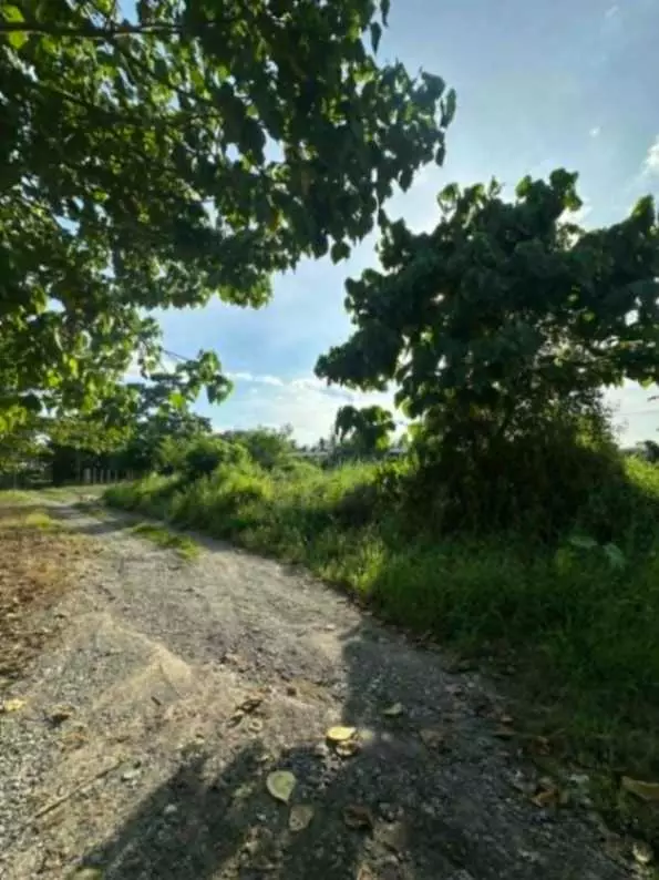 AFFORDABLE LOT FOR RENT - photo 2